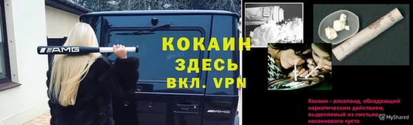 стаф Абинск