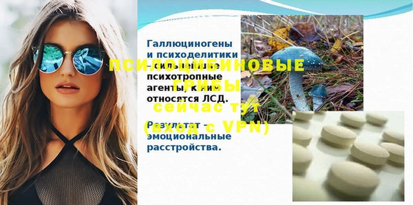 дурь Абаза