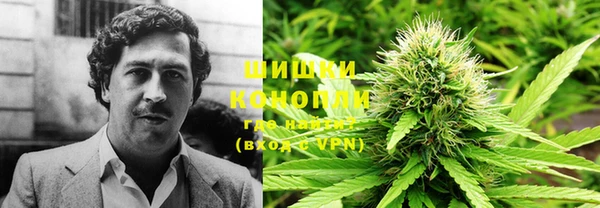 винт Чекалин